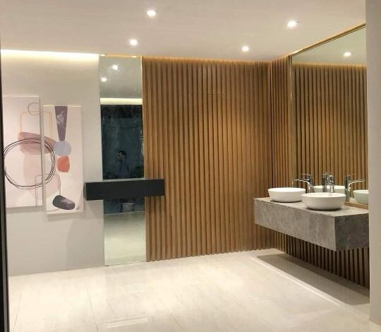 الطلاء في ترميم المباني